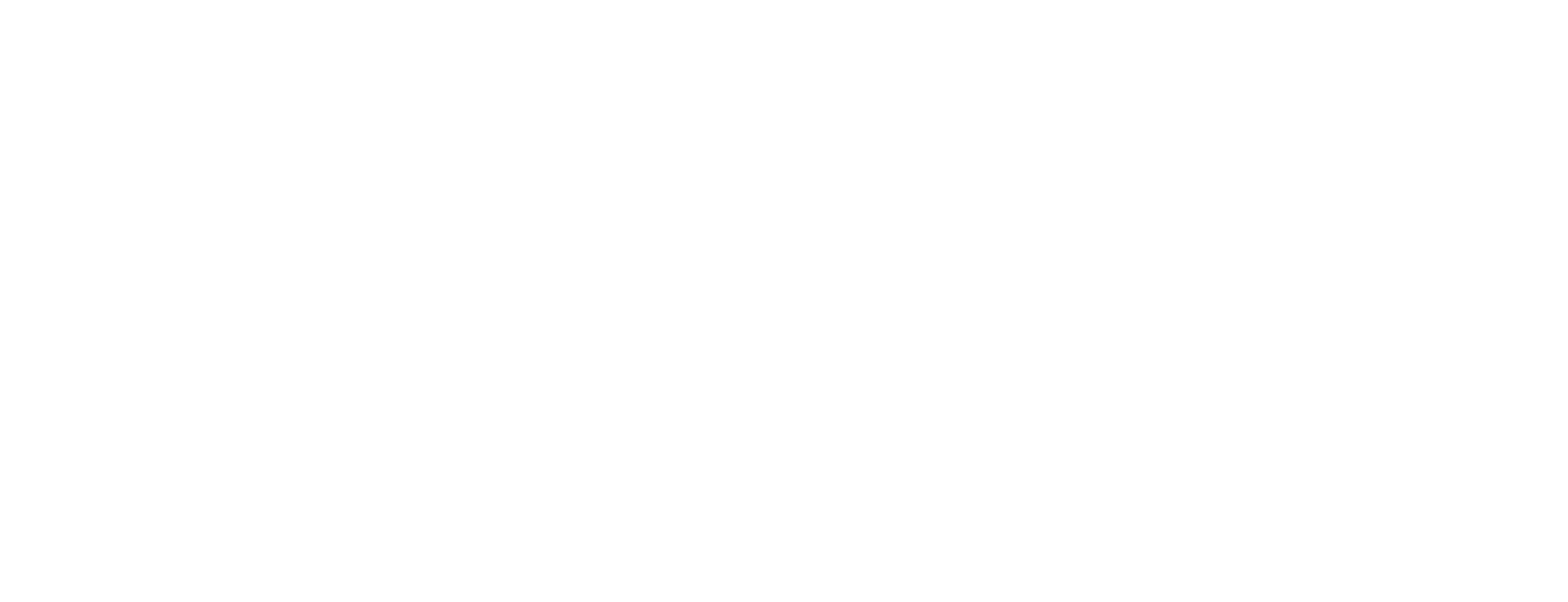 N4TEE