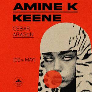 AMINE K