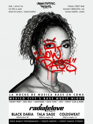 Low Pass: Mexico City's Bass Music Night
