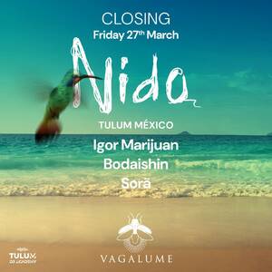 NIDO TULUM M&Eacute;XICO