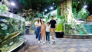 Dubai Aquarium & Underwater Zoo - Platinum