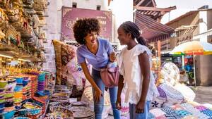 Half-Day Dubai City Tour with Blue Mosque | French Shared