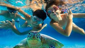 Nemo Diving Center - Snorkeling Trip to Fujairah (Shared Transfers from Dubai)