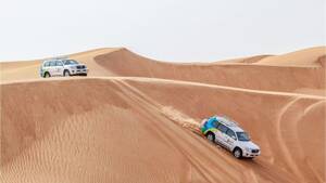 Private Morning Desert Drive with Wildlife Experience 