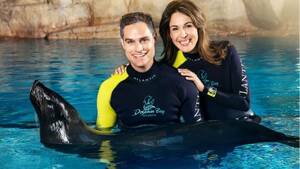Atlantis Sea Lion Encounter
