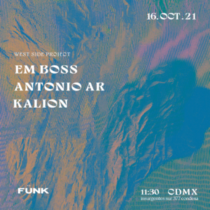 WEST SIDE PROJECT EN F&Uuml;NK
